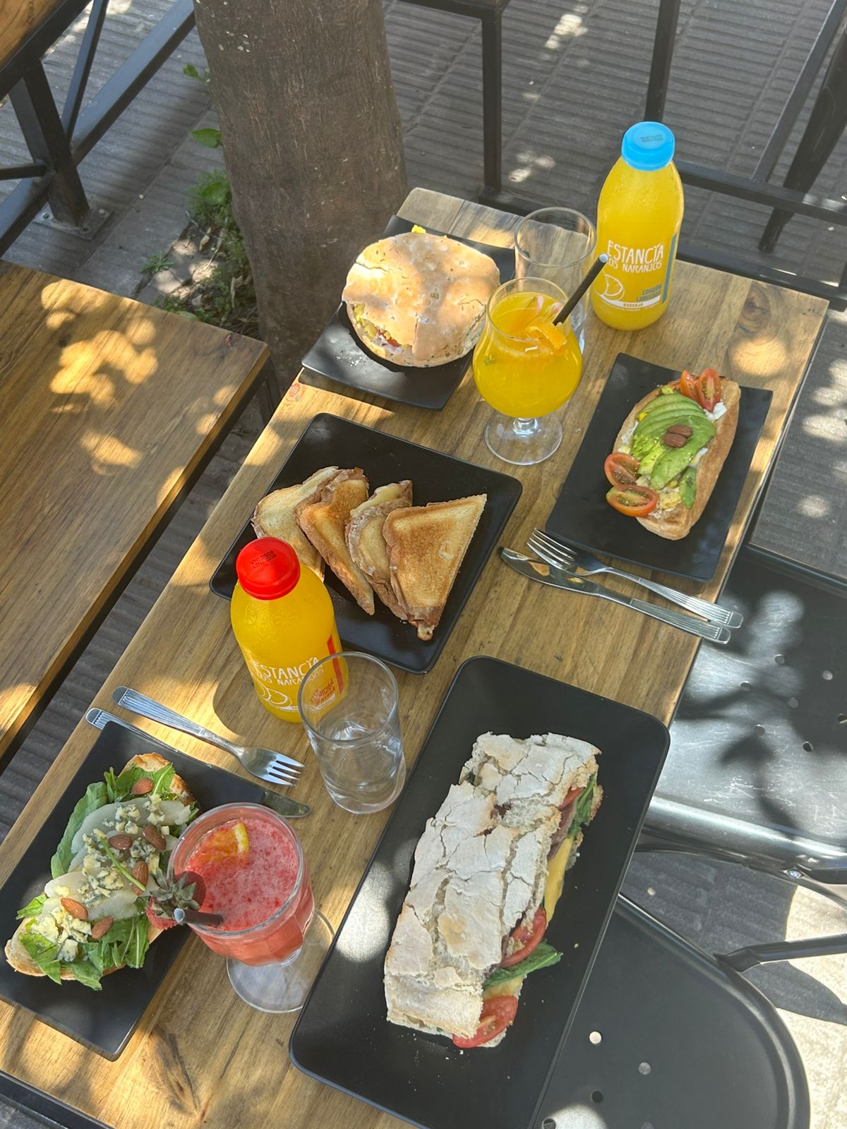 Outdoor brunch table with toasted sandwiches, sandwiches and fresh juices